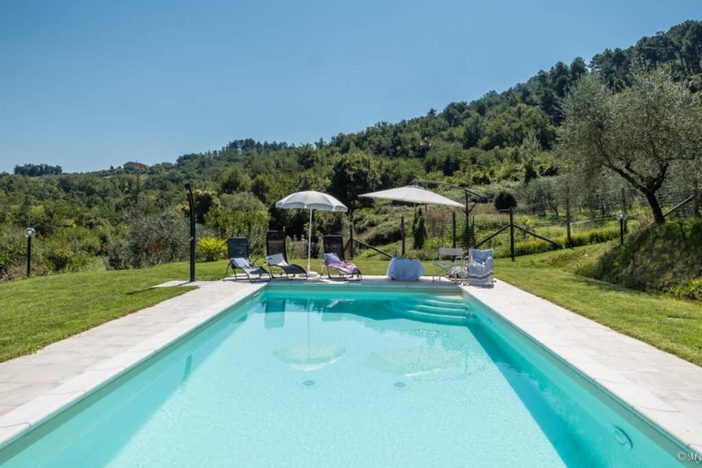 Alla Bella Aurora With Amazing Pool In Tuscany Lucca Luaran gambar
