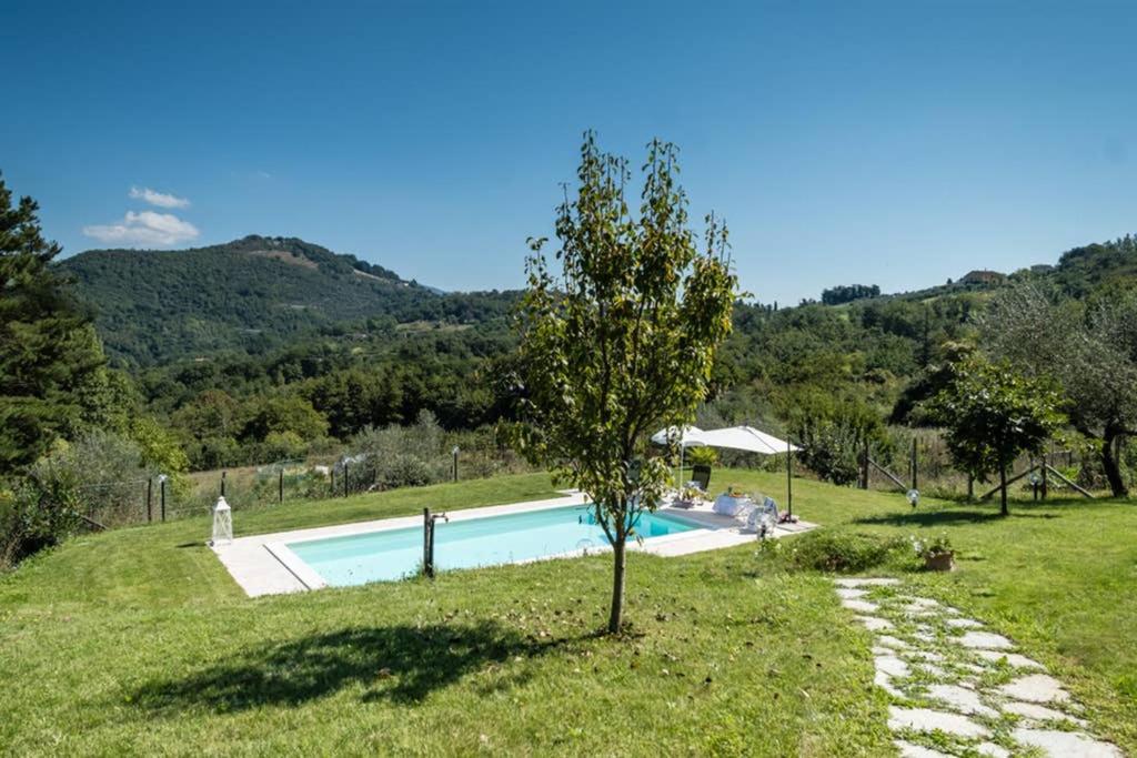 Alla Bella Aurora With Amazing Pool In Tuscany Lucca Luaran gambar